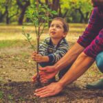 A child and an adult planting a young tree in a garden, showcasing teamwork and a connection with nature.