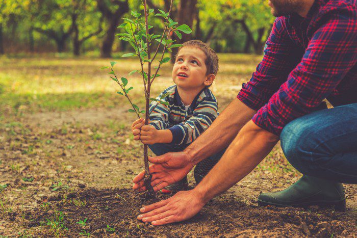 A child and an adult planting a young tree in a garden, showcasing teamwork and a connection with nature.